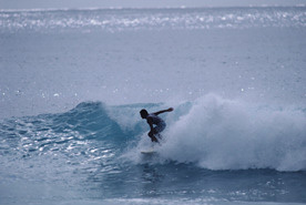 2006.jpg